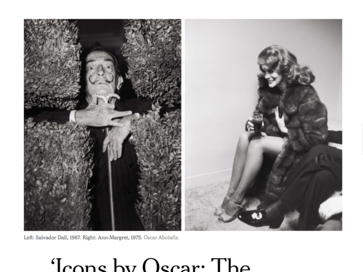 New York Times; “Five New Fashion Books Out This Spring. Several tomes…for your coffee table.”